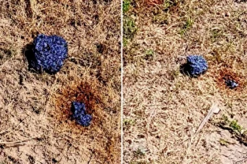 Cuba reporta la caída de un supuesto meteorito al sureste de la isla