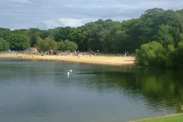 Decenas de peces aparecen muertos en un lago al oeste de Londres por las olas de calor