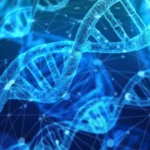 Crean unas moléculas fluorescentes que permiten ver el ADN a escala casi molecular