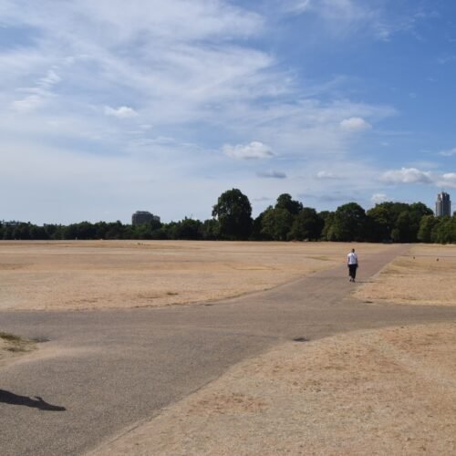 “Hyde Park parece el desierto de Dubái”: la sequía transforma los verdes parques de Londres en secarrales