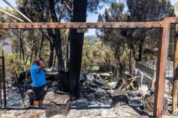 La cicatriz negra: viaje al paisaje después del fuego
