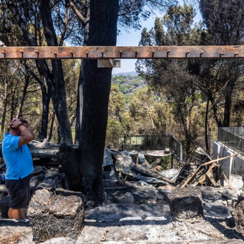 La cicatriz negra: viaje al paisaje después del fuego