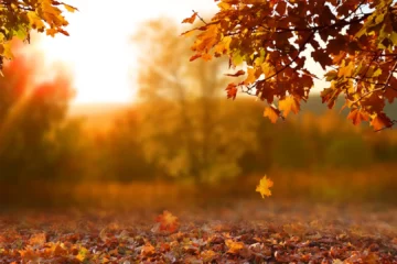 ¿Cuándo llega el otoño de 2026? La fecha y hora exactas del cambio de estación