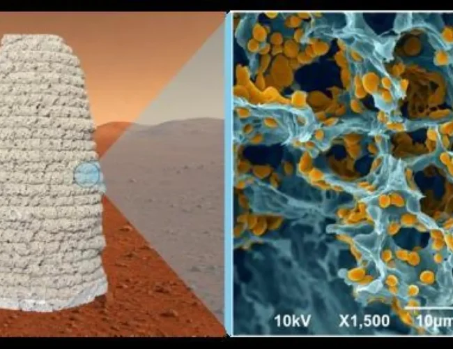 Desarrollan una fórmula a base de gelatina y levadura para imprimir viviendas en 3D en Marte