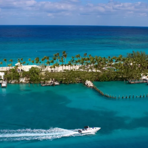 Una madre abandona a sus cuatro hijos para irse de crucero a las Bahamas