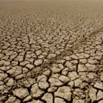 El Super Niño podría causar la muerte por calor de 450.000 personas en los próximos seis meses