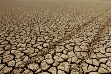 El Super Niño podría causar la muerte por calor de 450.000 personas en los próximos seis meses