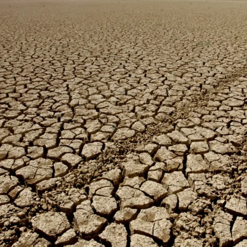 El Super Niño podría causar la muerte por calor de 450.000 personas en los próximos seis meses
