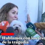 Rescatan de entre los escombros al perro de un pasajero que viajaba en uno de los trenes accidentados en Urda y continúa desaparecido: «Yo espero que aparezca»