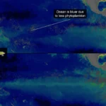 El Niño de este año es tan intenso que está cambiando el color del océano… porque está eliminando vida submarina