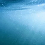 Descubren que la nieve marina influye en la capacidad de los océanos para almacenar carbono y mitigar el cambio climático